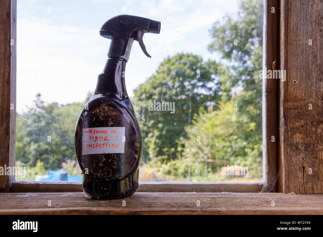 An old plastic spray bottle stands on the window ledge of a garden shed, with handwritten label 'Washing up liquid insecticide' stuck on it side Stock Photo