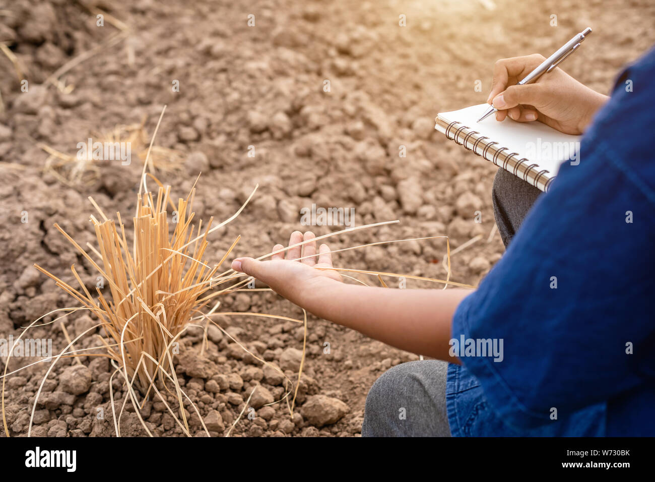 Asian student doing research or checking dry soil in empty land for planting. Environment Ecology and growing plant concept Stock Photo