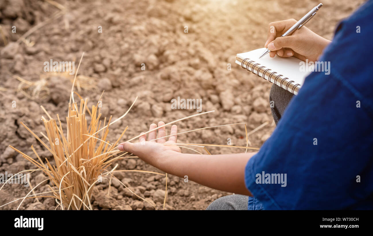 Asian student doing research or checking dry soil in empty land for planting. Environment Ecology and growing plant concept Stock Photo