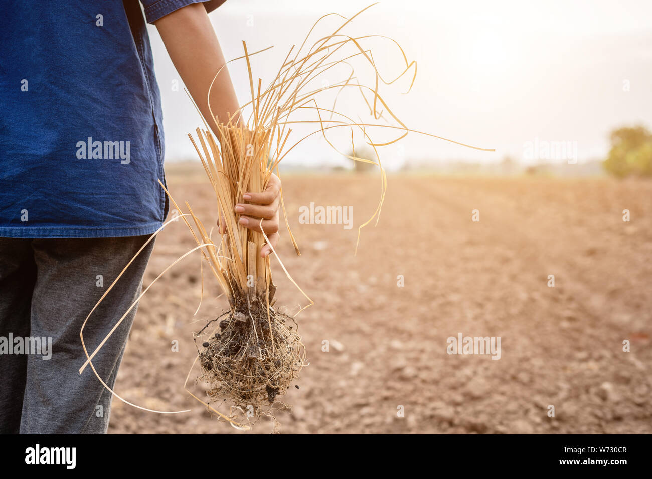 Young farmer holding death plant in empty land for planting