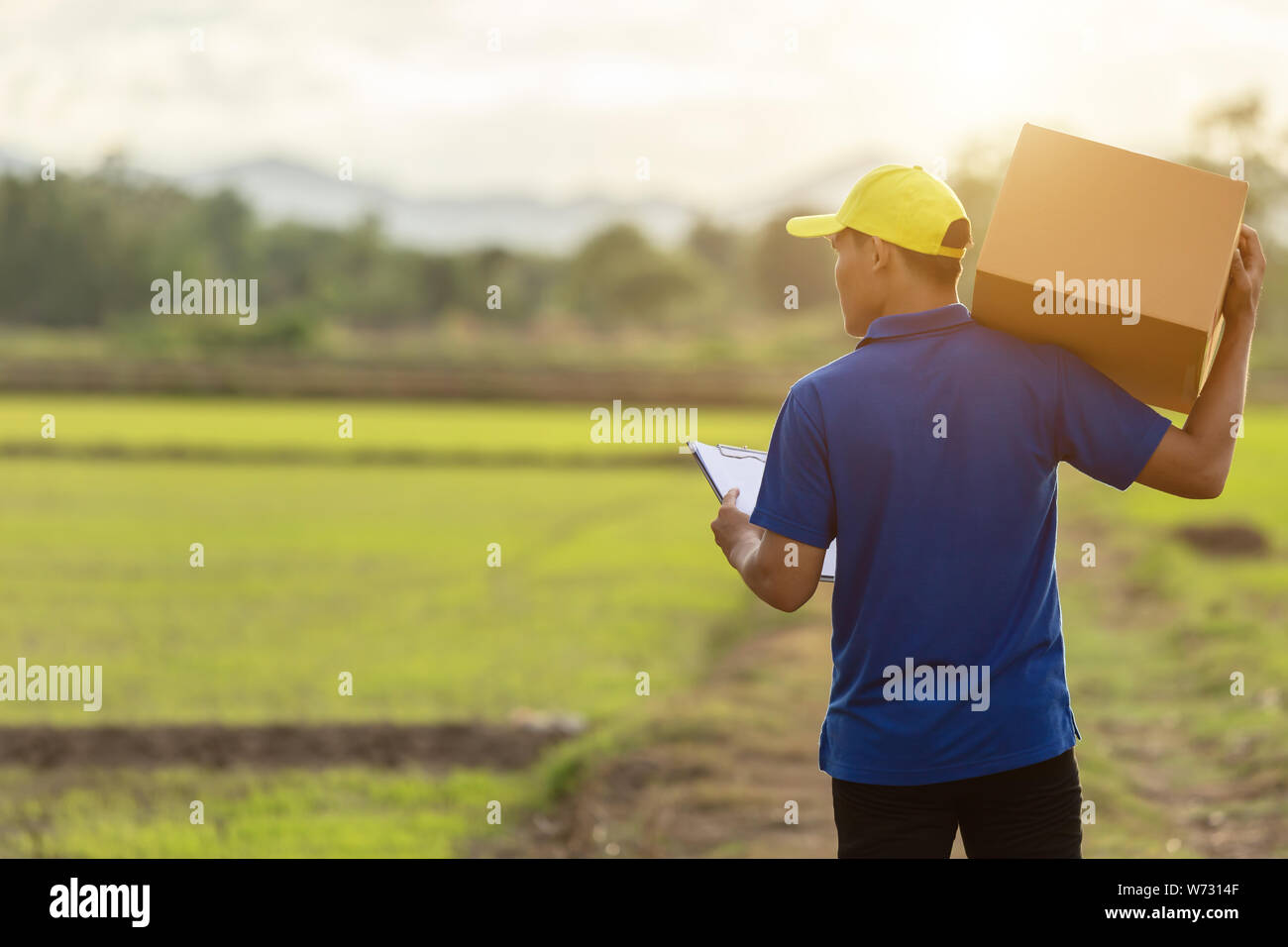 Delivery man holding brown parcel or cardboard boxes and delivery to customer at countryside and view of rice field. Can be delivery to anywhere conce Stock Photo