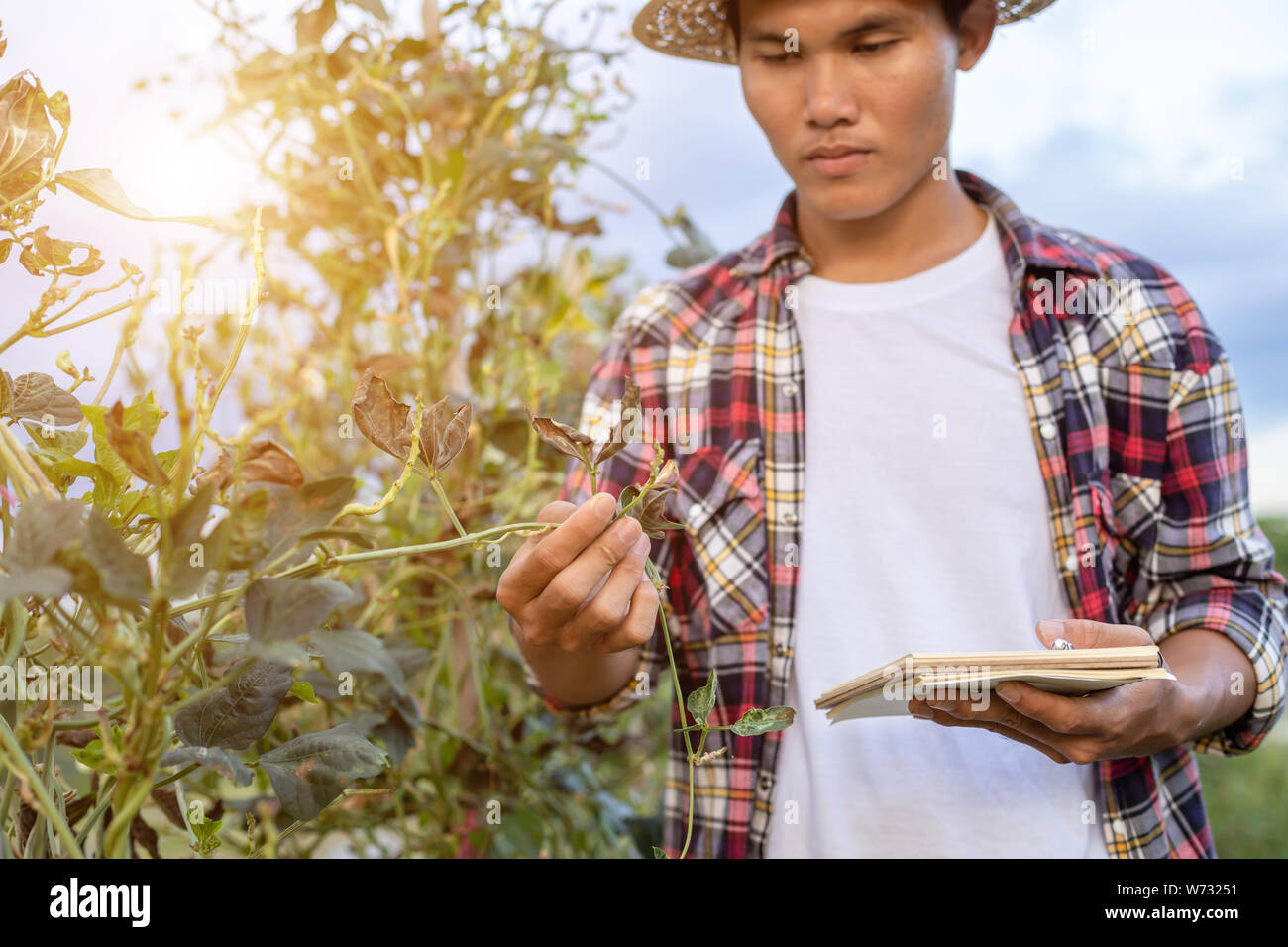 Asian farmer hi-res stock photography and images - Alamy