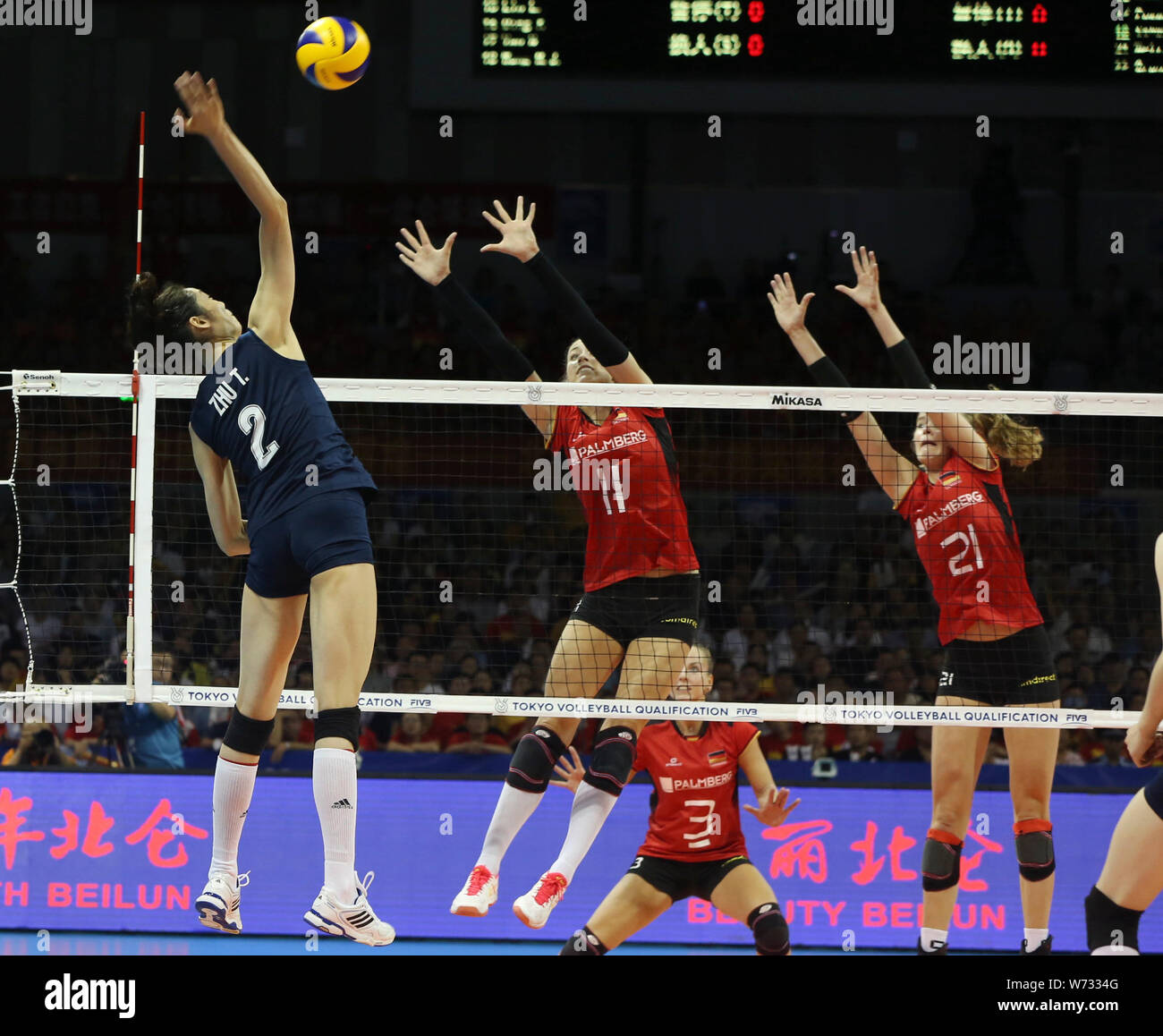 Zhu Ting, member of China women's national volleyball team, jumps to smash  the ball during the 2019 FIVB Women's Volleyball Intercontinental Olympic  Qualification Tournament against Germany in Ningbo city, east China's  Zhejiang
