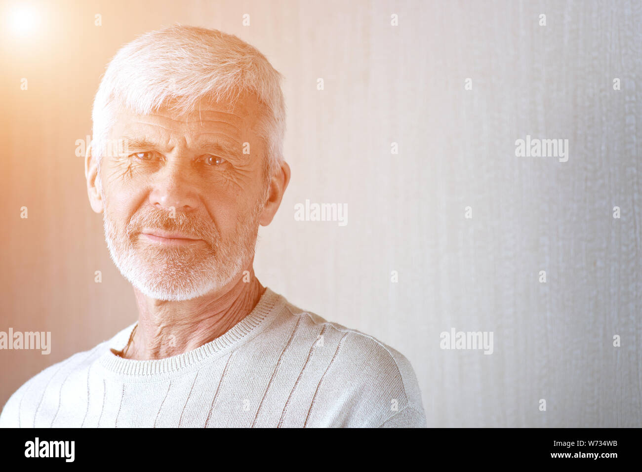 Portrait grey haired happy old hi-res stock photography and images - Alamy