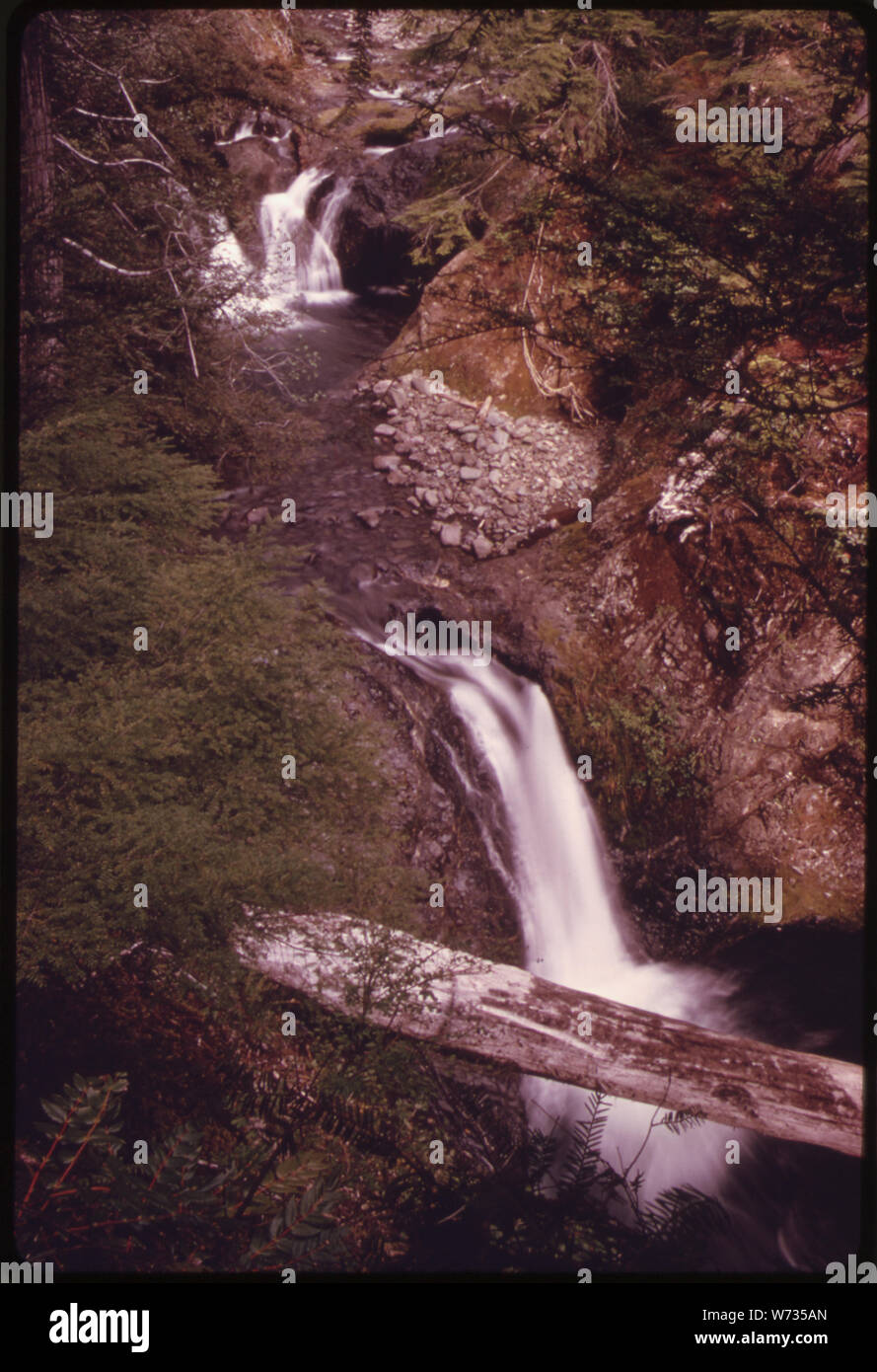 In the olympic national timberland hires stock photography and images