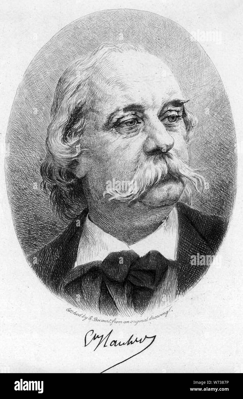 GUSTAVE FLAUBERT (1821-1880) French novelist Stock Photo