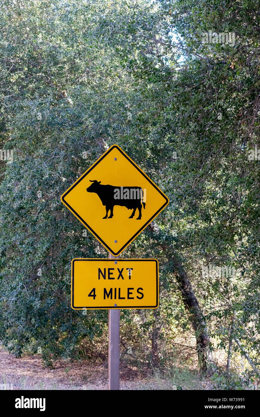 Cow crossing sign on the side of the road on a rural San Diego County Highway Stock Photo