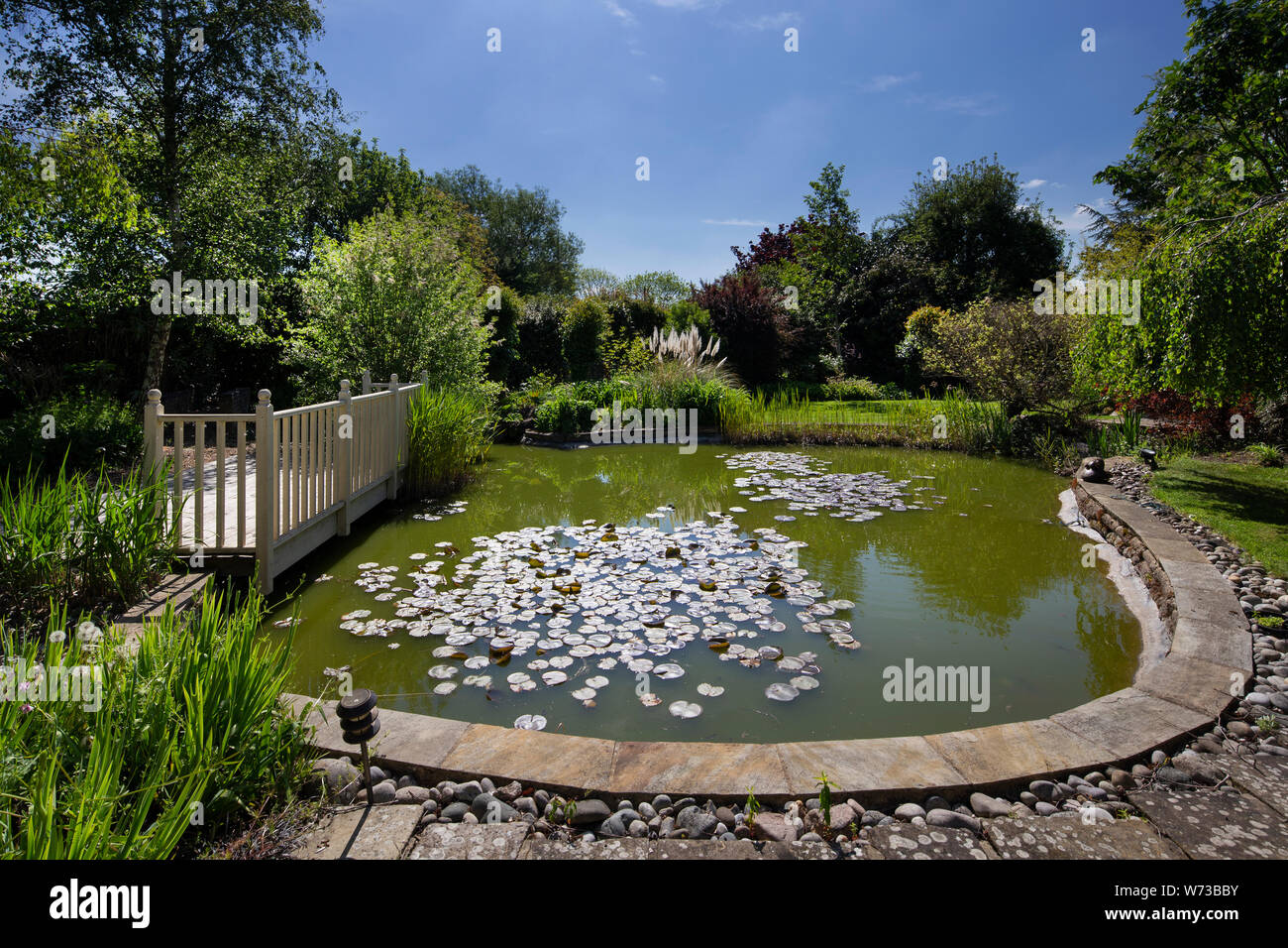raised decking area and pond in english garden, England Stock Photo