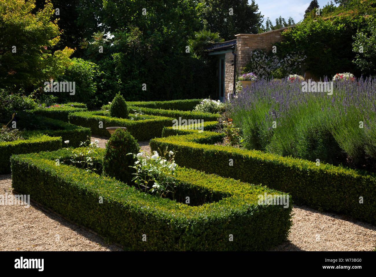 box topiary hedging and gravel paths in english garden, england Stock Photo