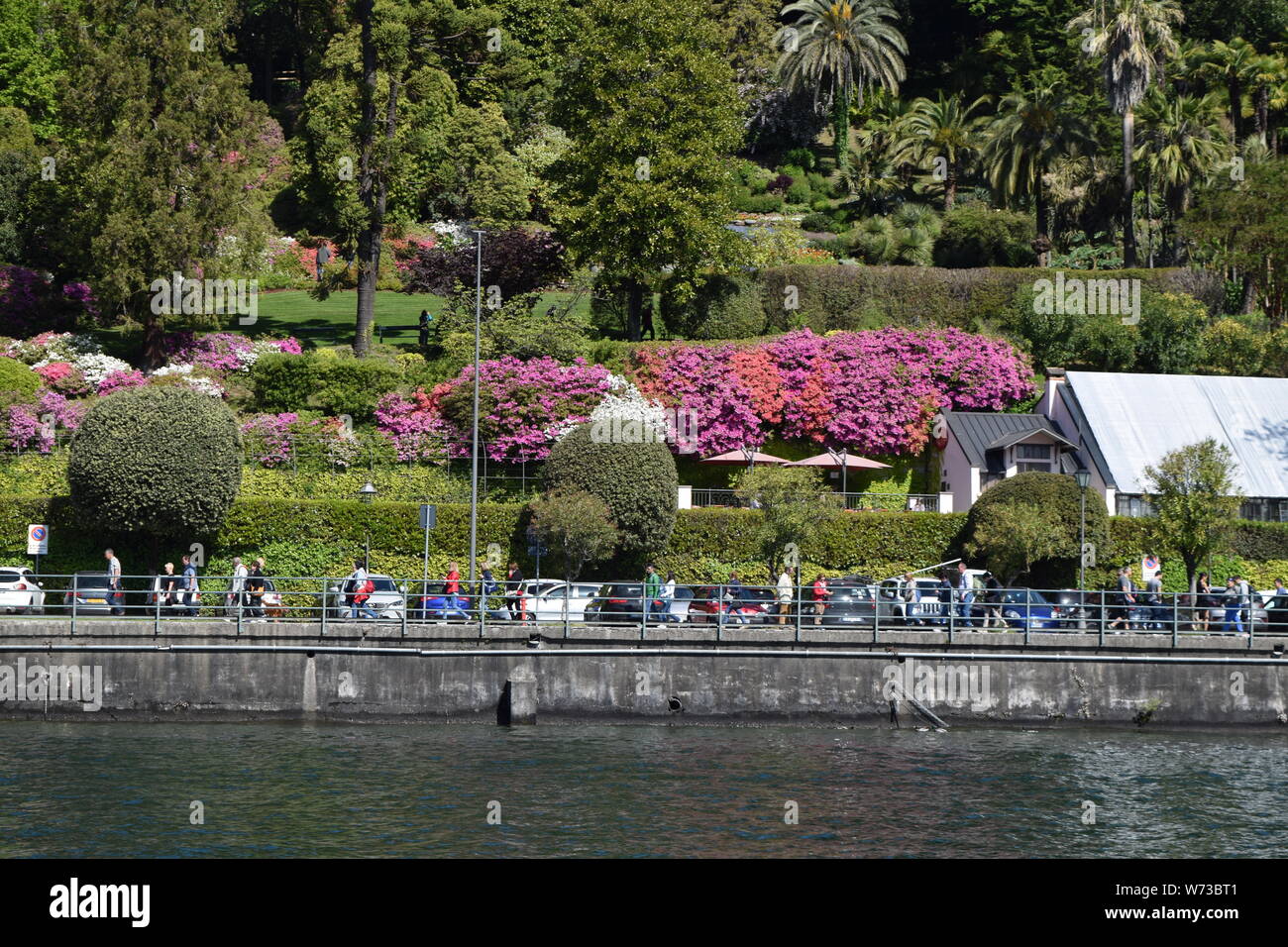Gardens at Villa Carlotta, Tremezzo, Lake Como, Italy Stock Photo