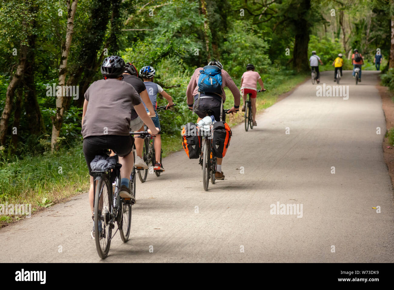 Cycling and eco tourism in Ireland. Group of tourists with bicycles cycling pedaling on park alley in Killarney National Park, County Kerry, Ireland. Stock Photo