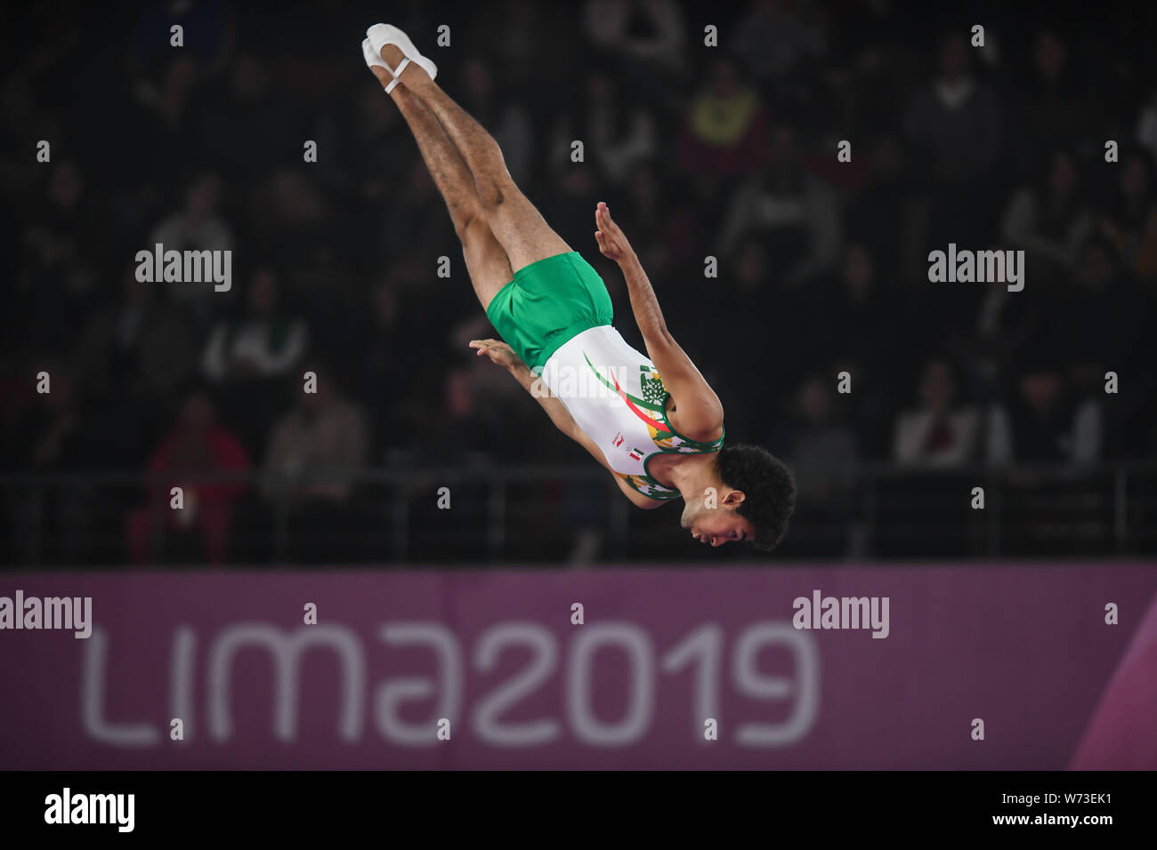 Lima, Peru. 4th Aug, 2019. LUIS LORIA from Mexico flips upside down during the competition held in the Polideportivo Villa El Salvador in Lima, Peru. Credit: Amy Sanderson/ZUMA Wire/Alamy Live News Stock Photo