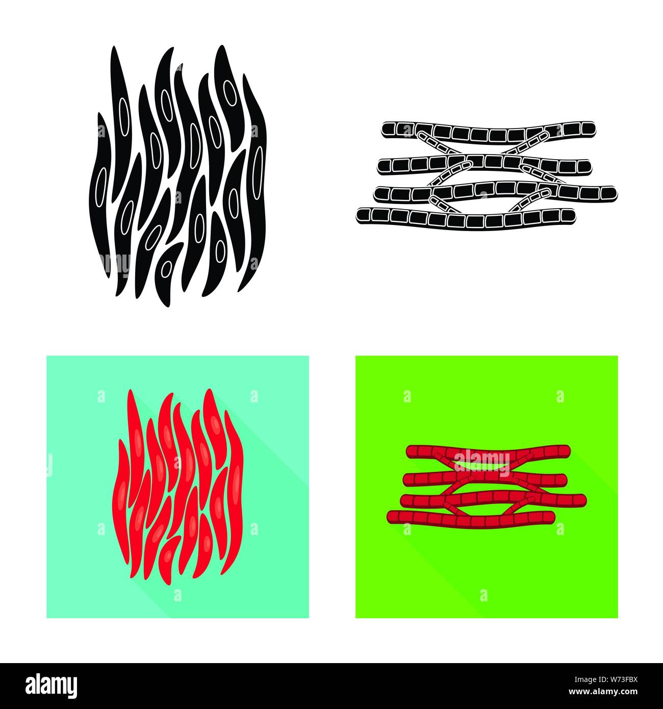 Collagen fibers Stock Vector Images - Alamy