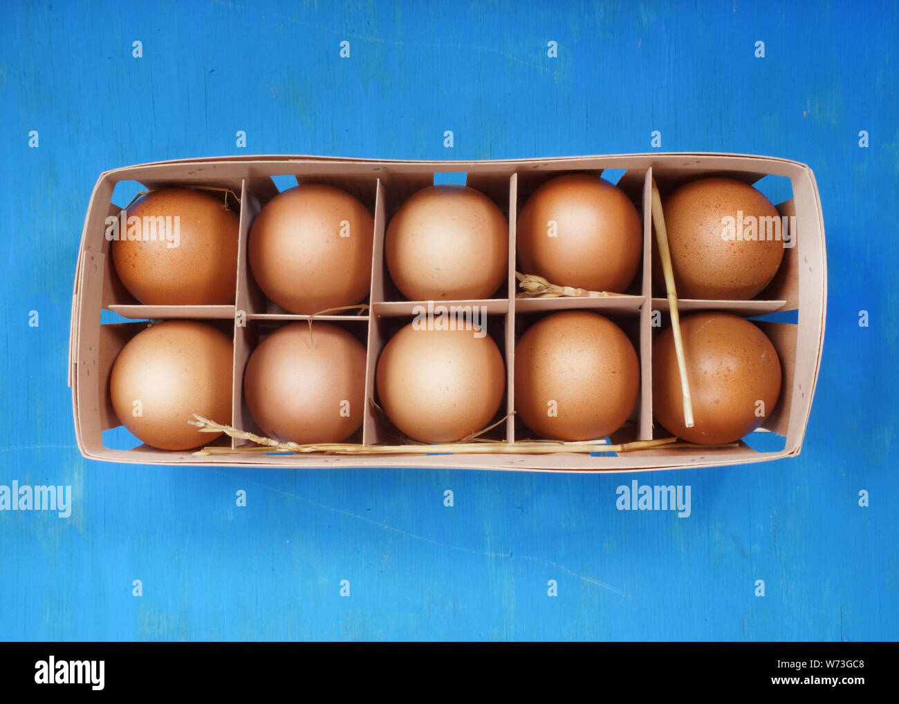 Fresh chicken eggs from the farm Stock Photo