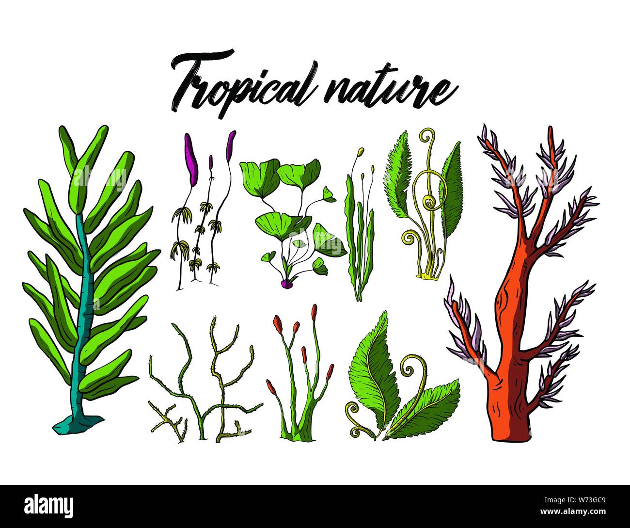 Prehistoric vector plants. Differenr extinct greenery, Cartoon