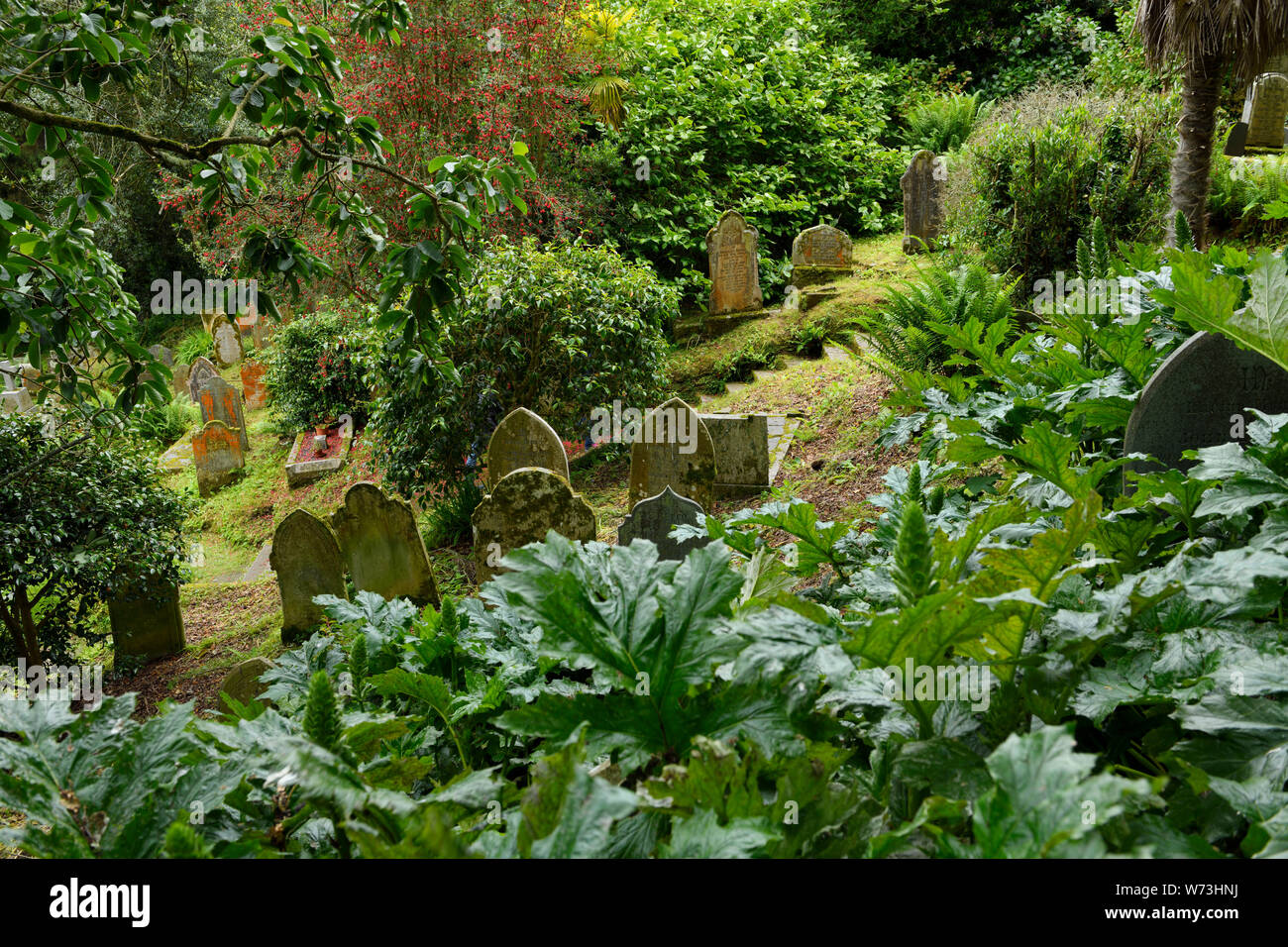 Old Headstones of hillside cemetery with semi-tropical plants at St Just’s Church in St Just in Roseland Cornwall England Stock Photo