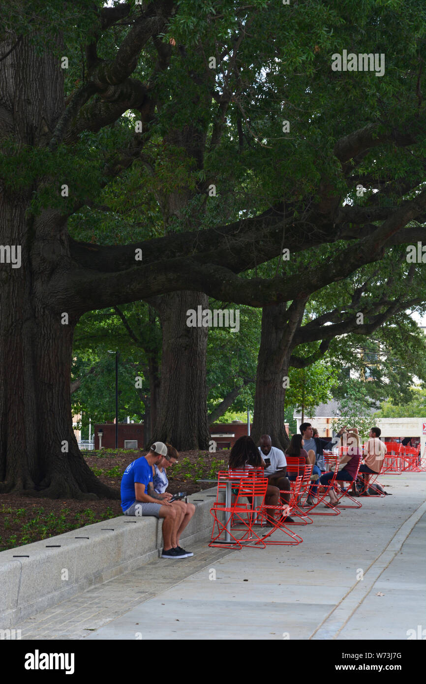 Visitors sit under the shade of century old trees in the revitalized Moore Square (2019) in downtown Raleigh North Carolina. Stock Photo