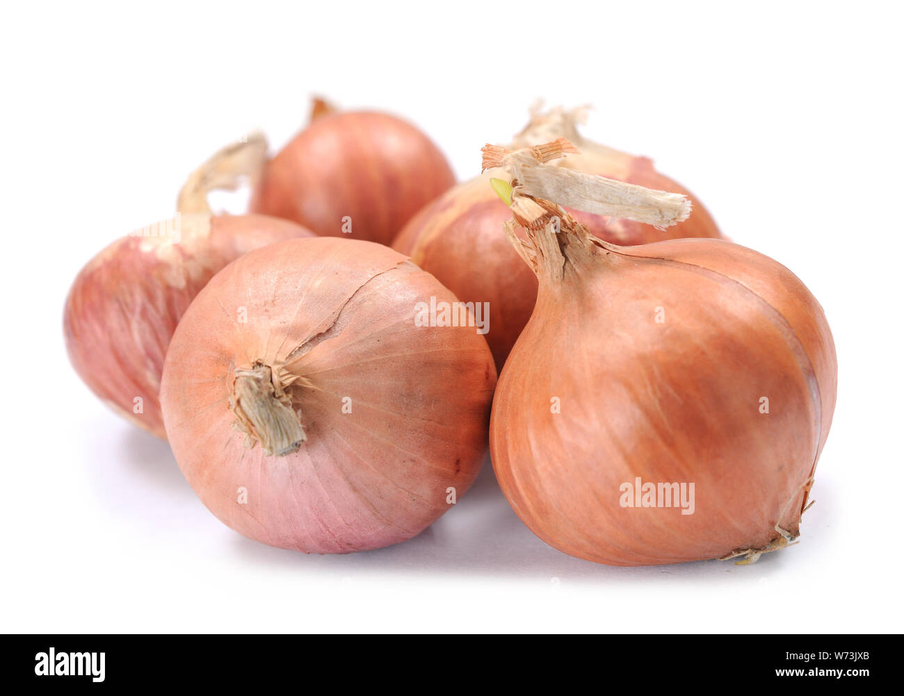 Onion display Cut Out Stock Images & Pictures - Alamy