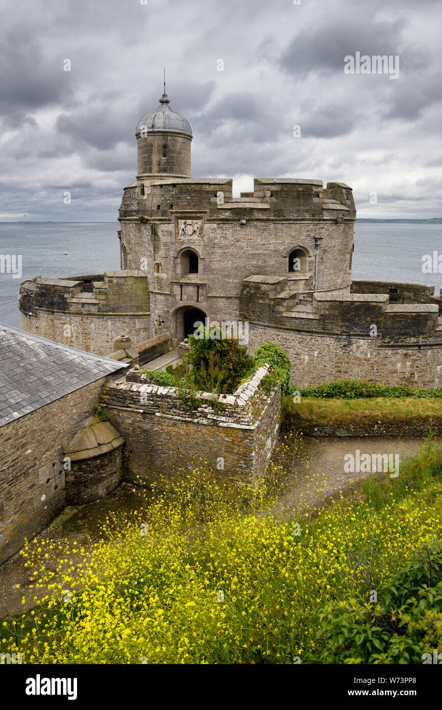 St Mawes Castle with Yellow Bedstraw wildflowers on the coast of Carrick Roads Falmouth Bay Atlantic Ocean in Cornwall England Stock Photo