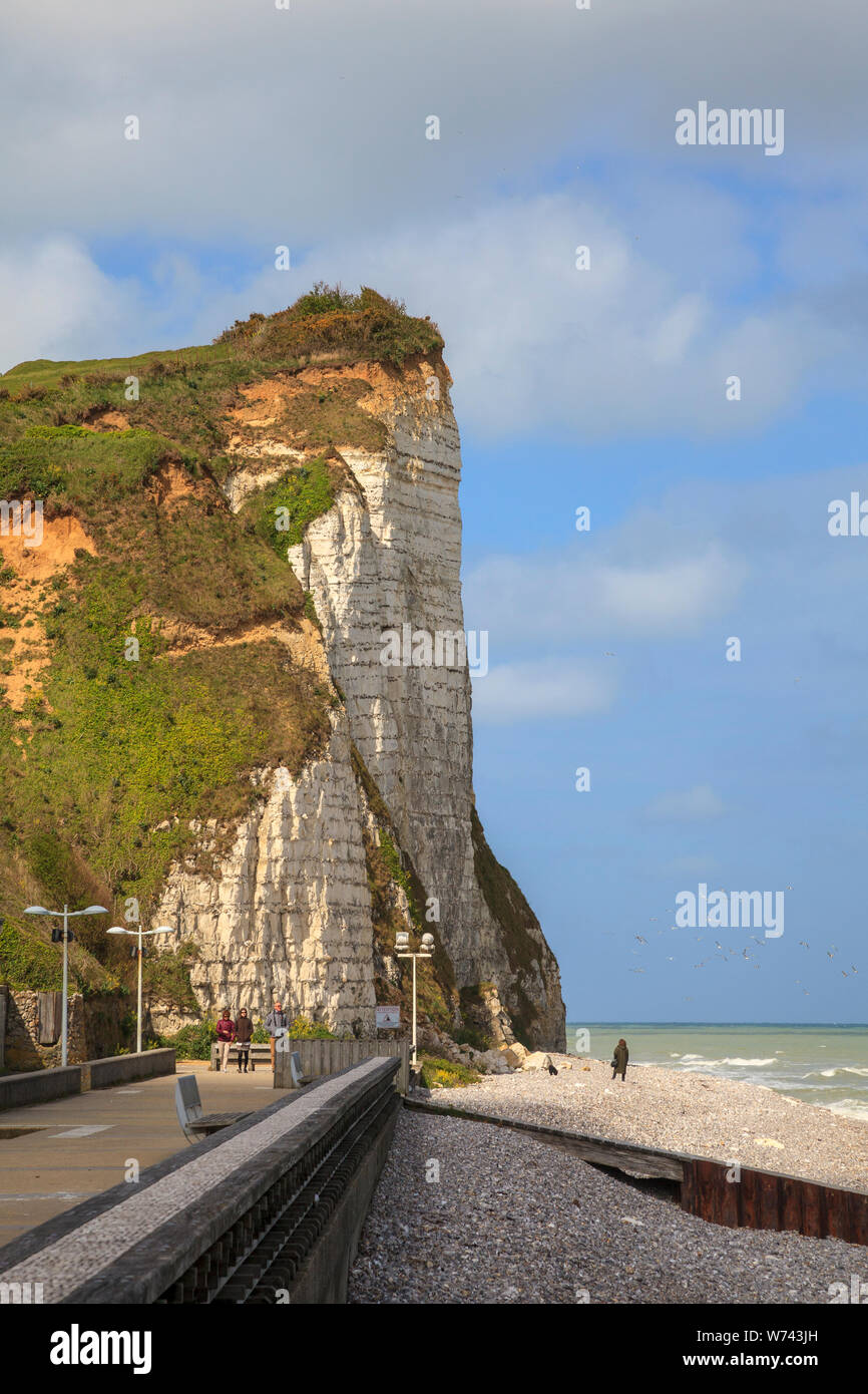 Chalk cliffs at Veulettessurmer. Normandy, France, Europe. Photo V.D