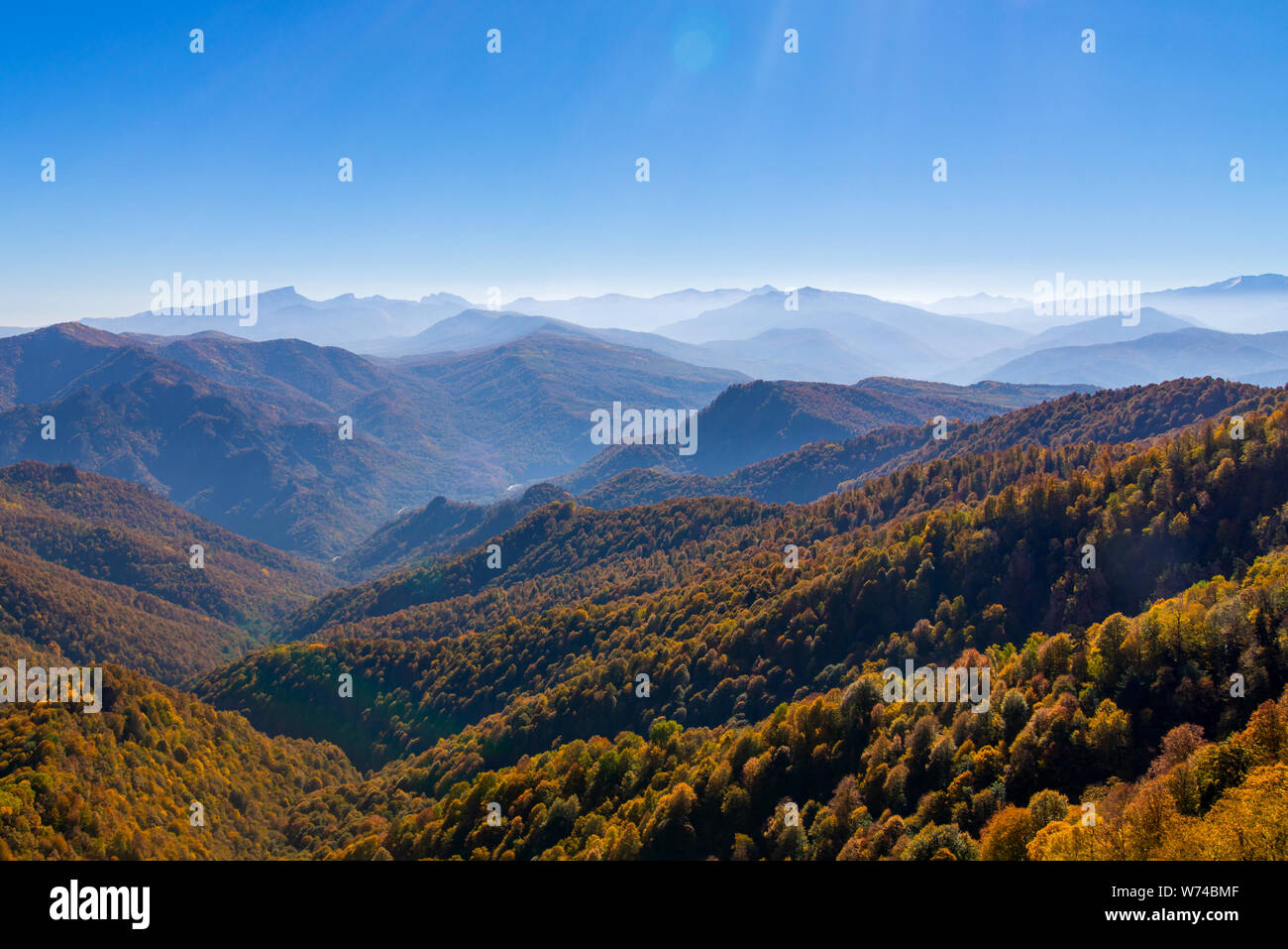 Scenic landscape with trees in mountain forest in autumn Stock Photo ...