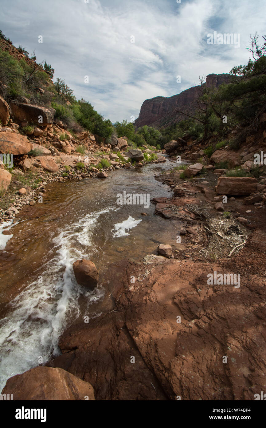 Redwalled canyons in Mesa County, Colorado, USA Stock Photo Alamy