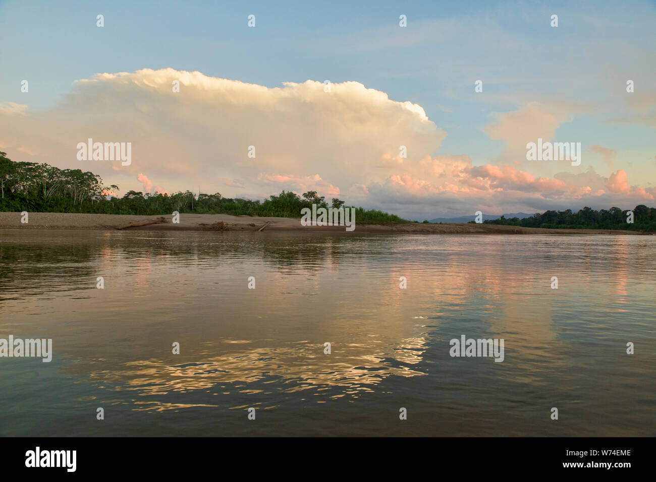 Still life on the Tambopata River, Tambopata National Reserve, Peruvian Amazon Stock Photo