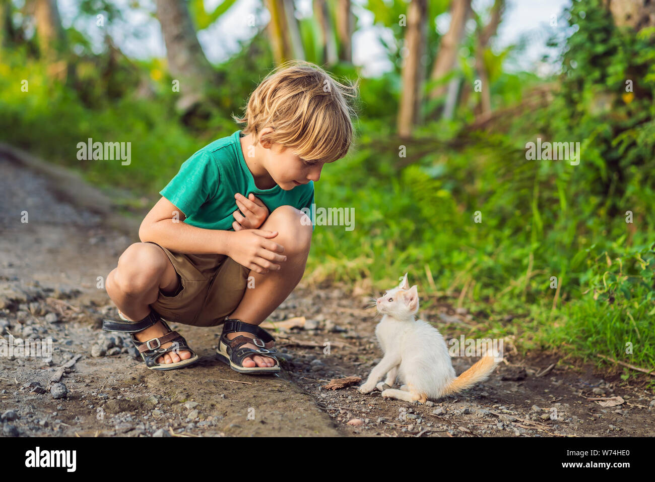 Little boy and little kitten playing outside Stock Photo