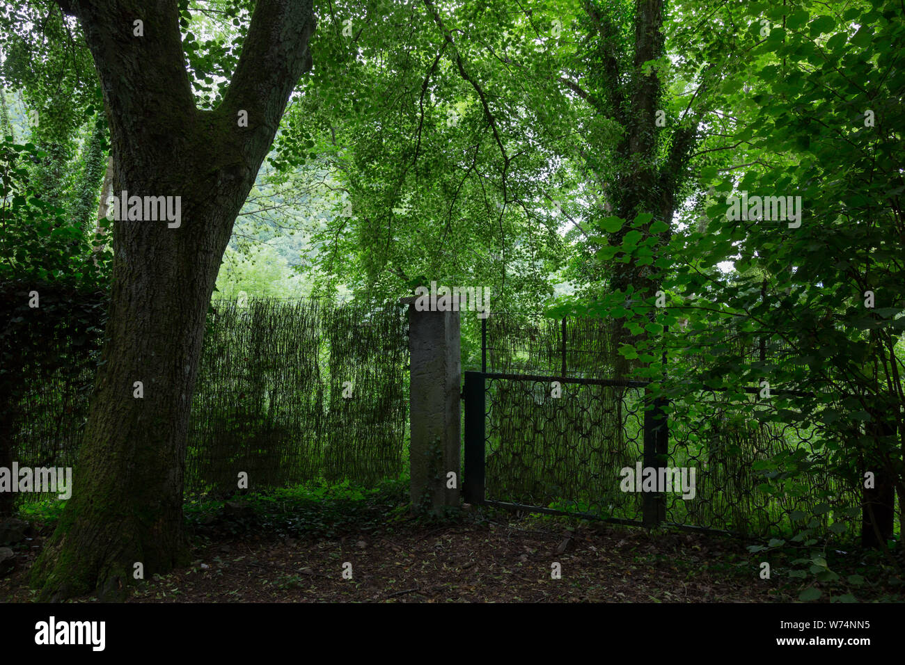 A closed gate in a secluded area of an Alsatian forest near Thann, France. Stock Photo
