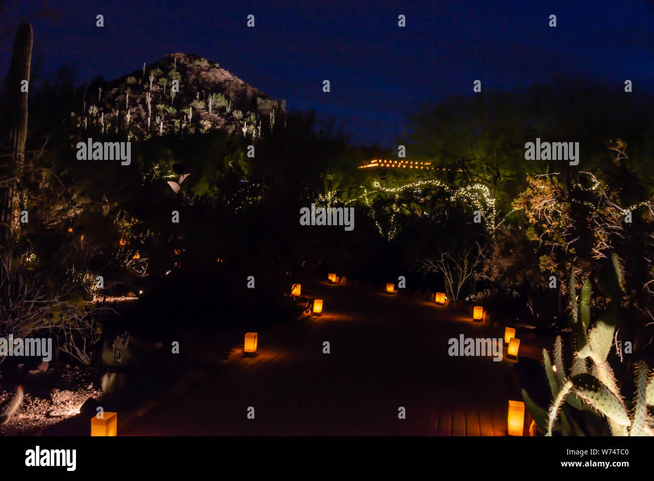 Desert Botanical Garden Luminarias & Lights Stock Photo Alamy