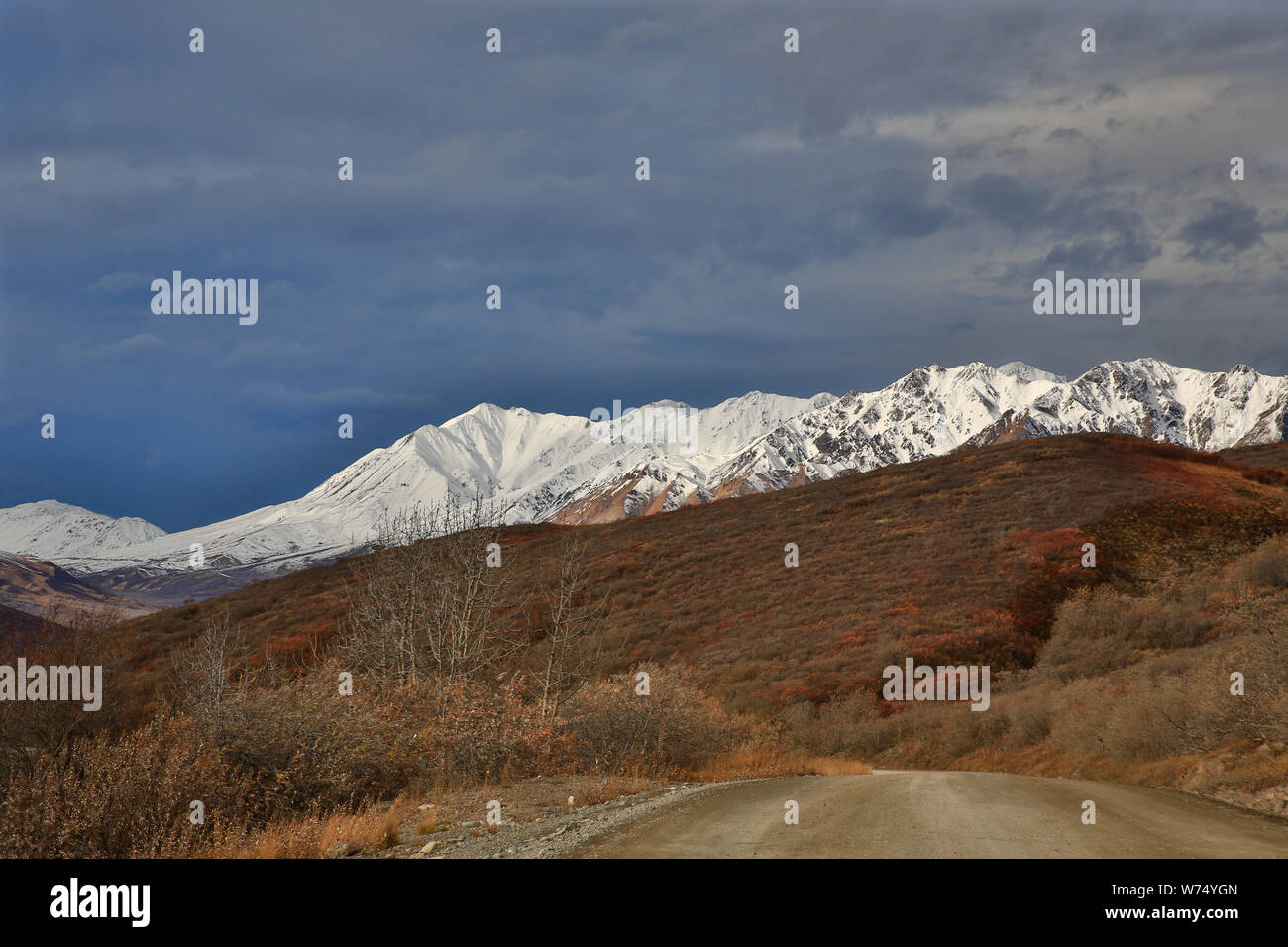 Mountain Contrast Denali Park in the Alaska Range Stock Photo