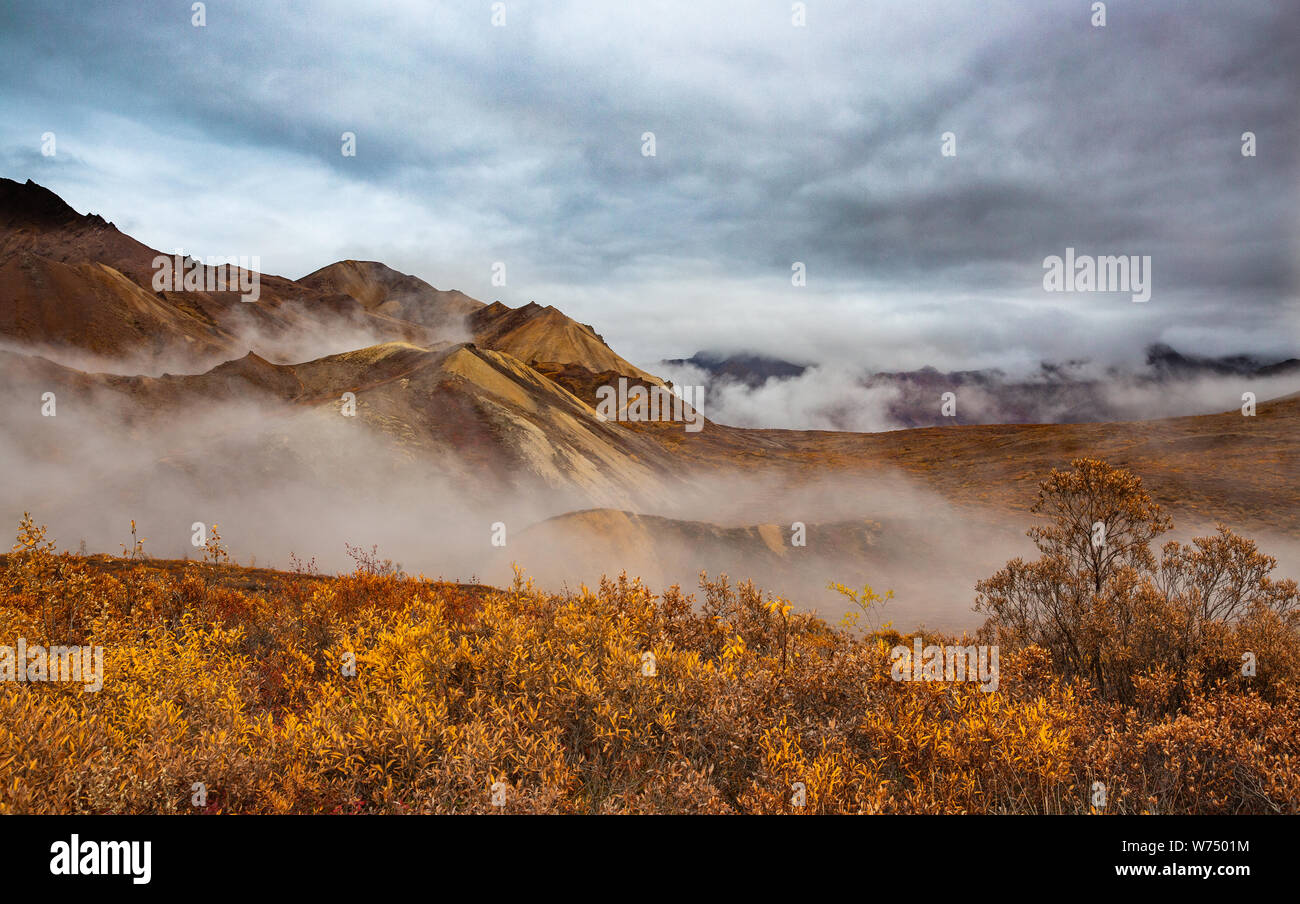 Foggy View Denali Park in the Alaska Range Stock Photo