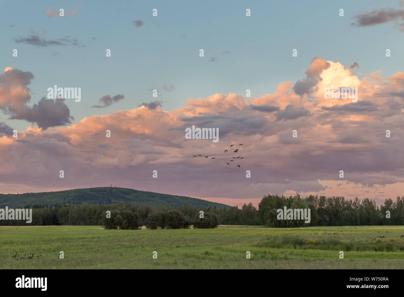 Cloud Formation over Creamer's Field in Alaska Stock Photo Alamy