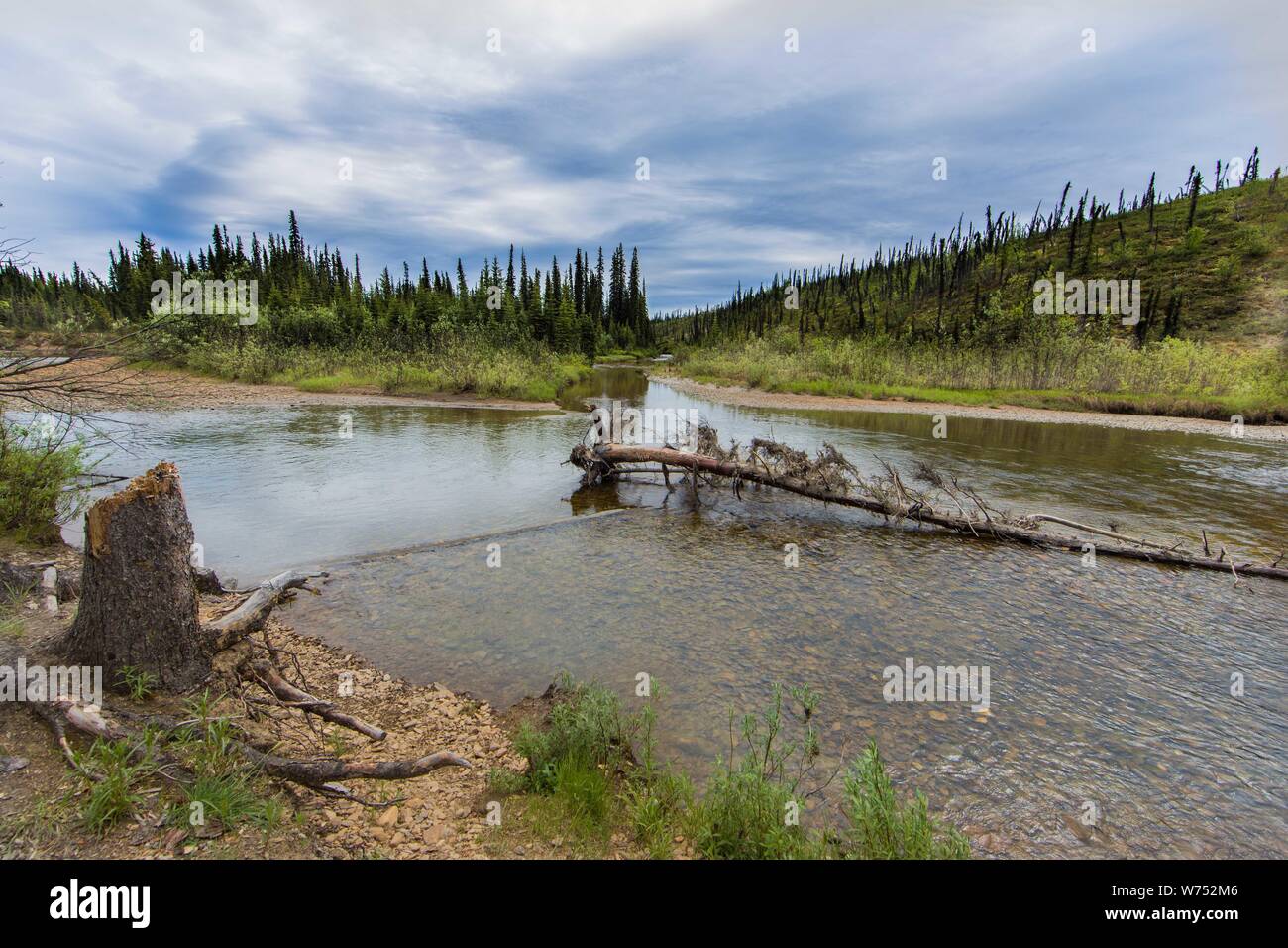 Nome Creek Alaska Located in the White Mountains.  Historical gold rush site. Stock Photo