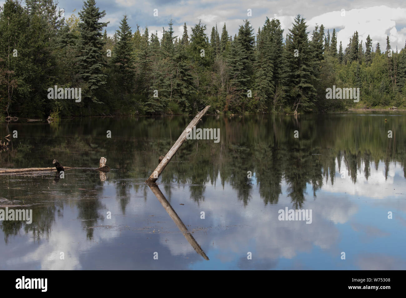 Beautiful Lake Reflections in Alaska Stock Photo