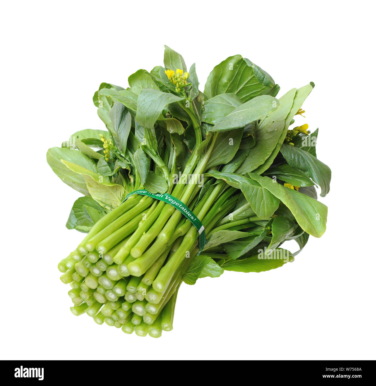 a bunch of chinese spinach isolated on white background Stock Photo