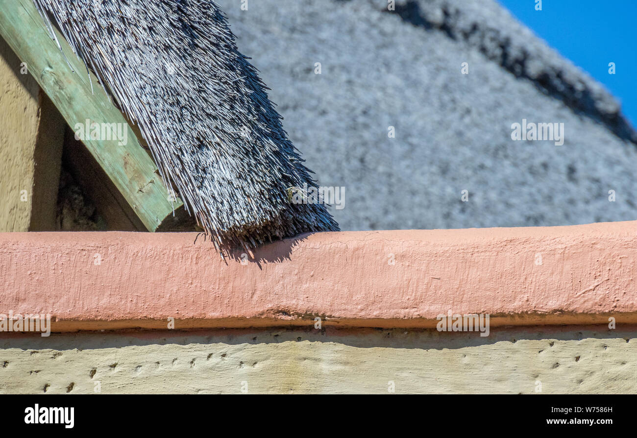 Close up and acute angle of a traditional African thatch roof image