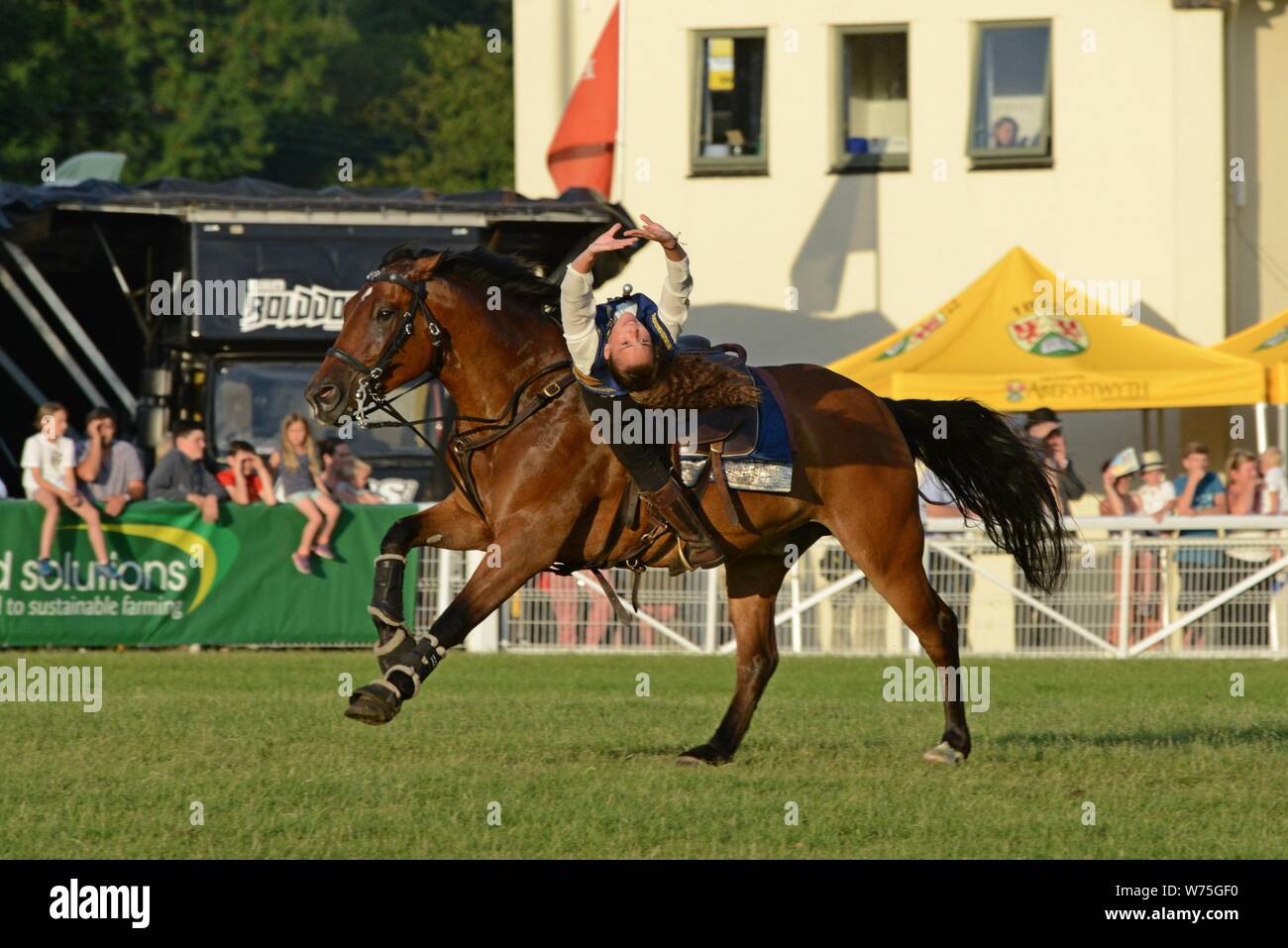 Atkinson's Action Horses perform at the 100th Royal Welsh Show 2019