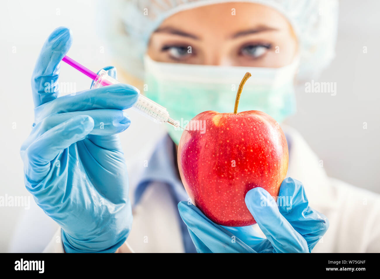 A biologist woman genetically modifies an apple for longer life. Female researcher or scientist using laboratory equipment for syringe and needle in s Stock Photo