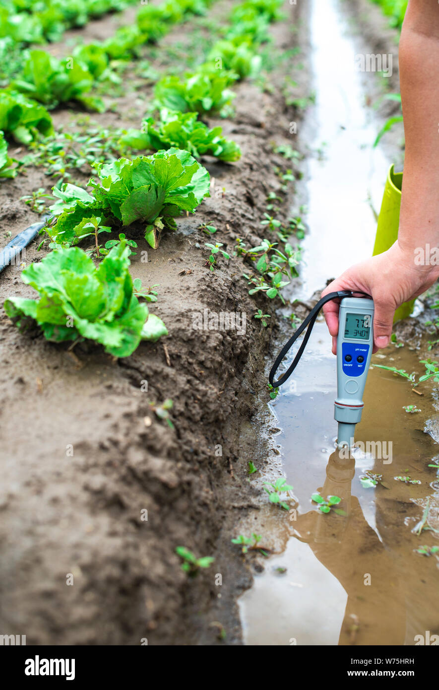 Woman mesures irrigation water with digital PH meter in watering canal