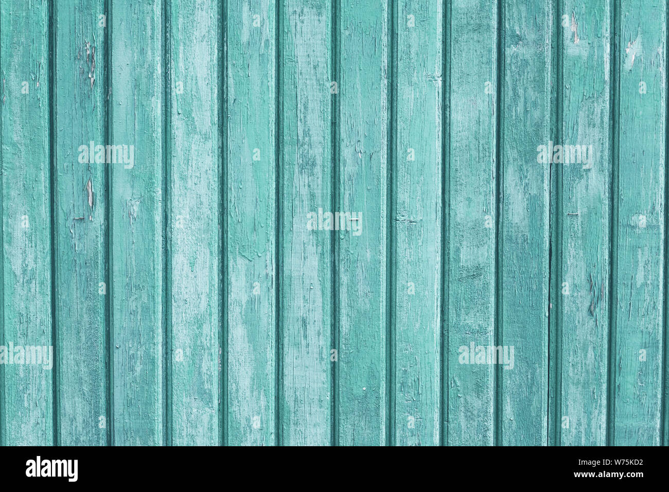 Turquoise wooden fence background. Vertical old wood planks, light green shabby surface. Oak timber wall texture. Copy space. Vintage boards. Stock Photo