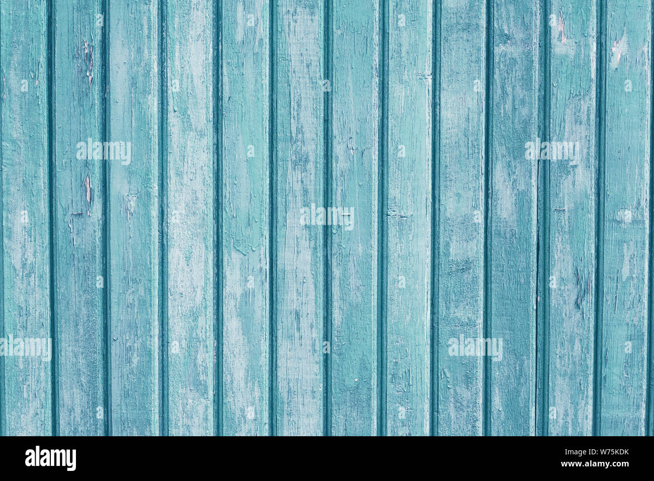 Turquoise vertical wooden planks. Blue, light green painted wood background. Vintage pattern for decorative design.  Old table. Grain timber texture. Stock Photo