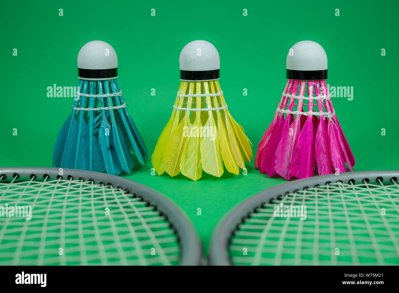 Shuttlecock Color Badminton rackets and colorful feathered shuttlecocks in blue, yellow ...