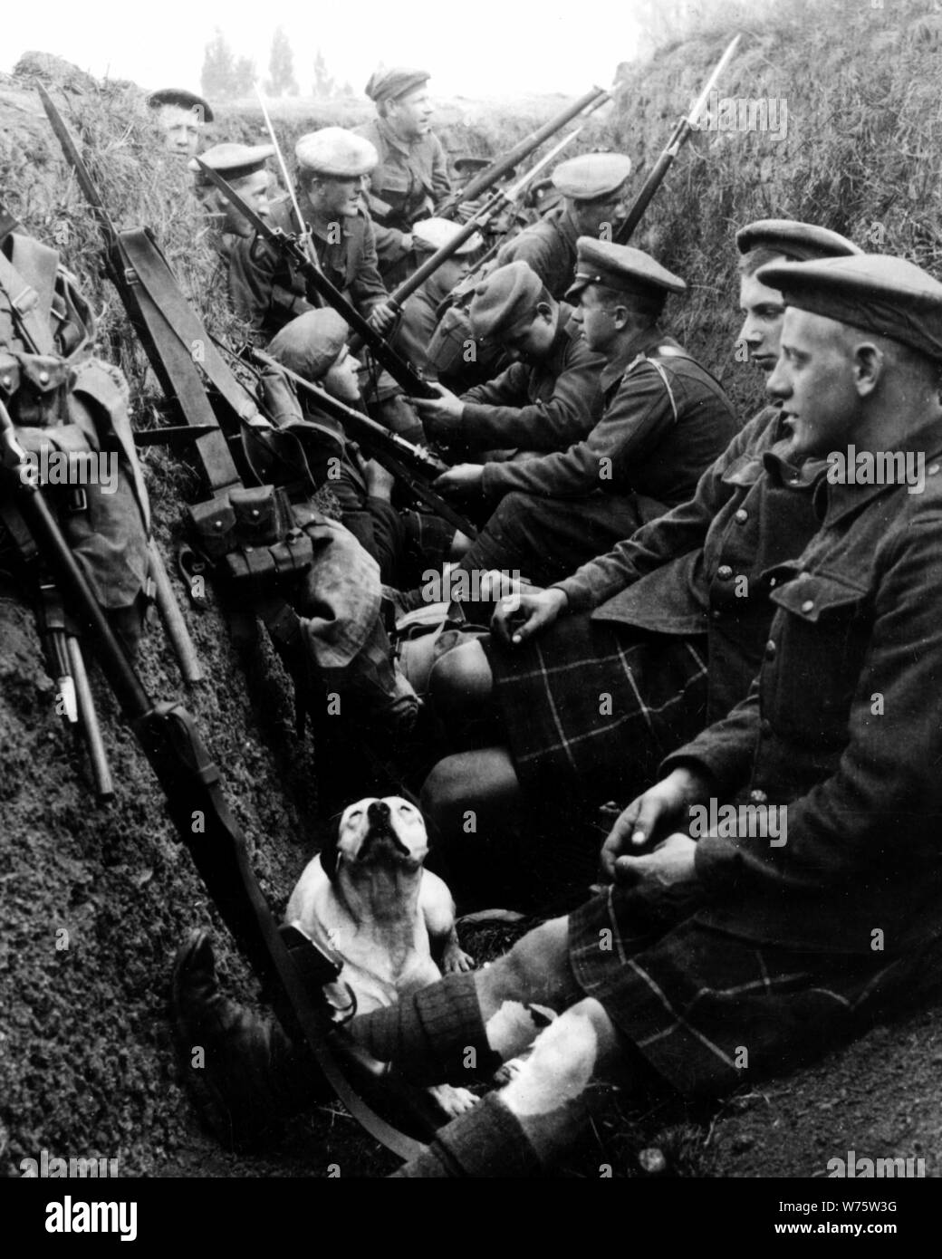 Seaforth highlanders hires stock photography and images Alamy