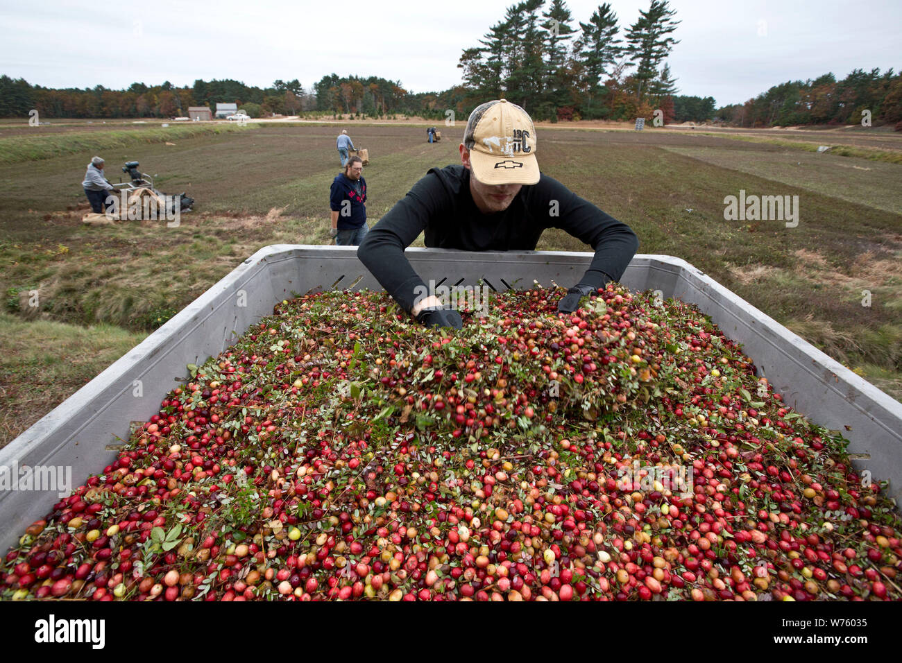 MASSACHUSETTS , USA Stock Photo