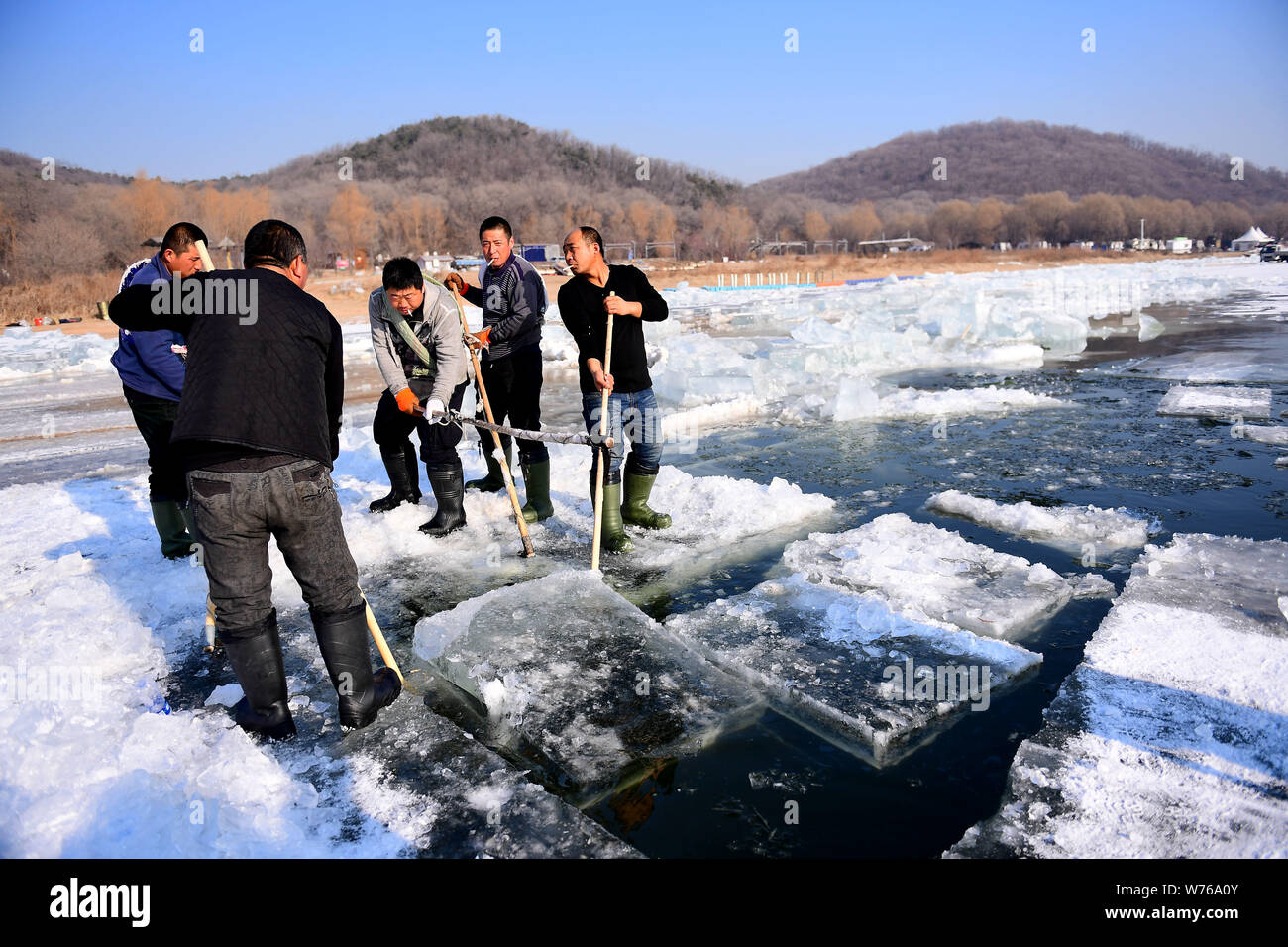 Chinese workers chisel the frozen Xiuhu Lake to collect ice blocks in ...