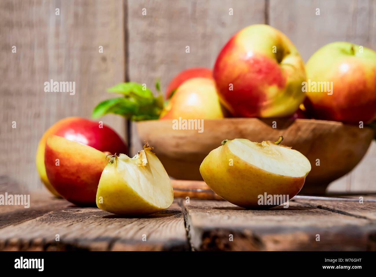Fruit in Focus  Gala Apple - Fruit Salad Trees