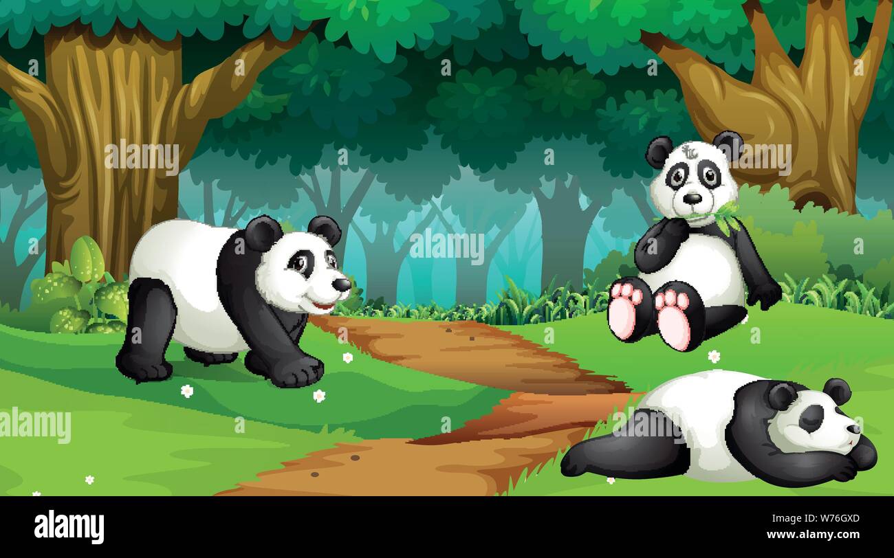 Pandas in wood scene illustration Stock Vector Image & Art - Alamy