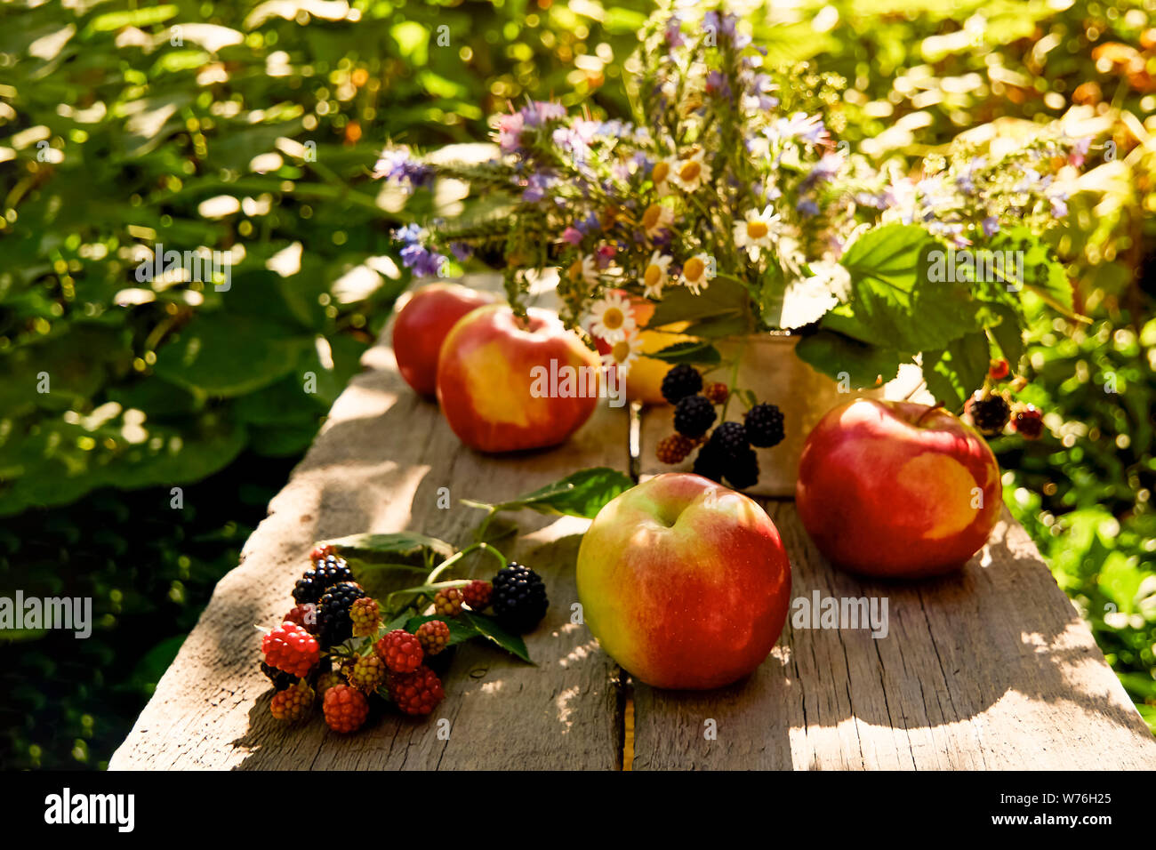 composition apples on an old table with leaf and blackberry flowers in an old mug. on a natural background, dawn, sunset. Close-up Stock Photo