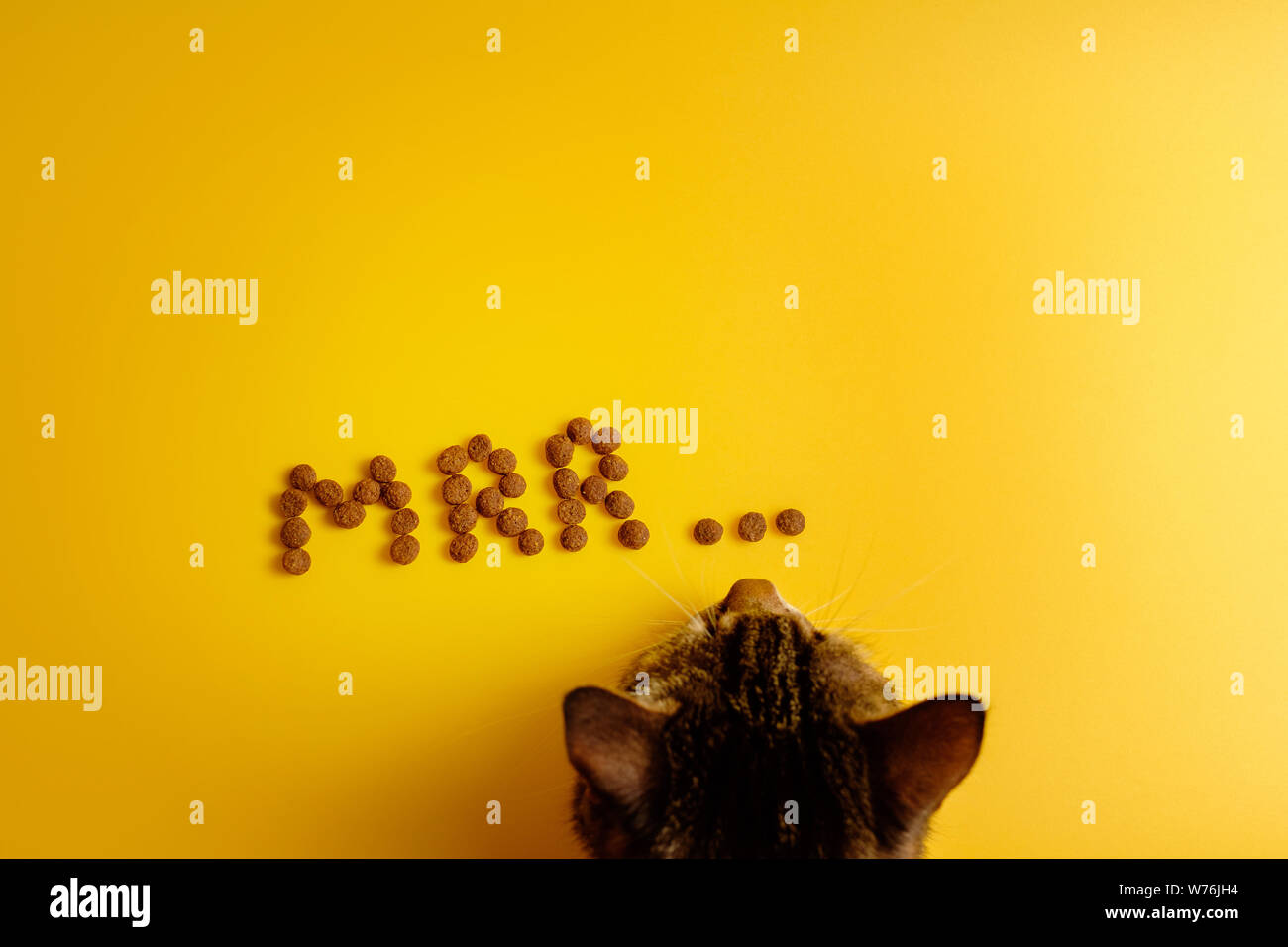 cat food on yellow background laid out in word of cat purring, Mrr top view cat steals food Stock Photo